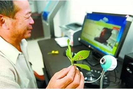 《農(nóng)業(yè)電子商務(wù)試點(diǎn)方案》:農(nóng)業(yè)部300億補(bǔ)貼下發(fā)