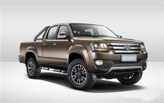 華泰汽車皮卡車型市場銷售戰(zhàn)略與前景分析